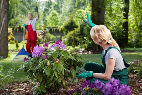 Gardening team working in a suburban Kingston front garden