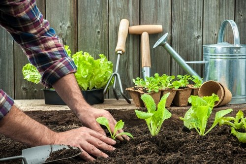 Volunteers managing compost and recycling bins at a community garden