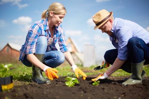 A close-up of a person using a screen reader while viewing gardening information