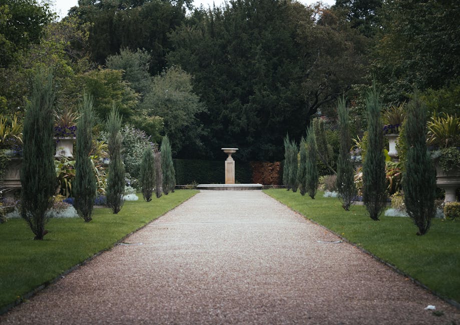 A close-up view of a garden during daytime showing lush green grass and a variety of plants, including tall leafy shrubs and smaller flowering plants. The soil appears dark and moist, with some areas 